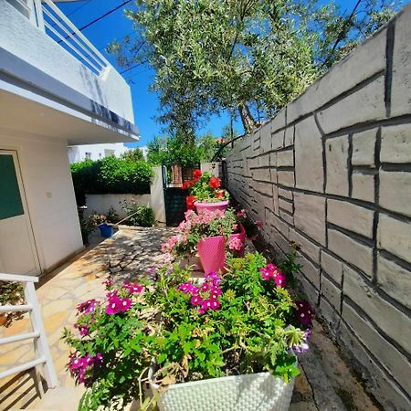 Vila Bexheti 卡萨米尔 外观 照片