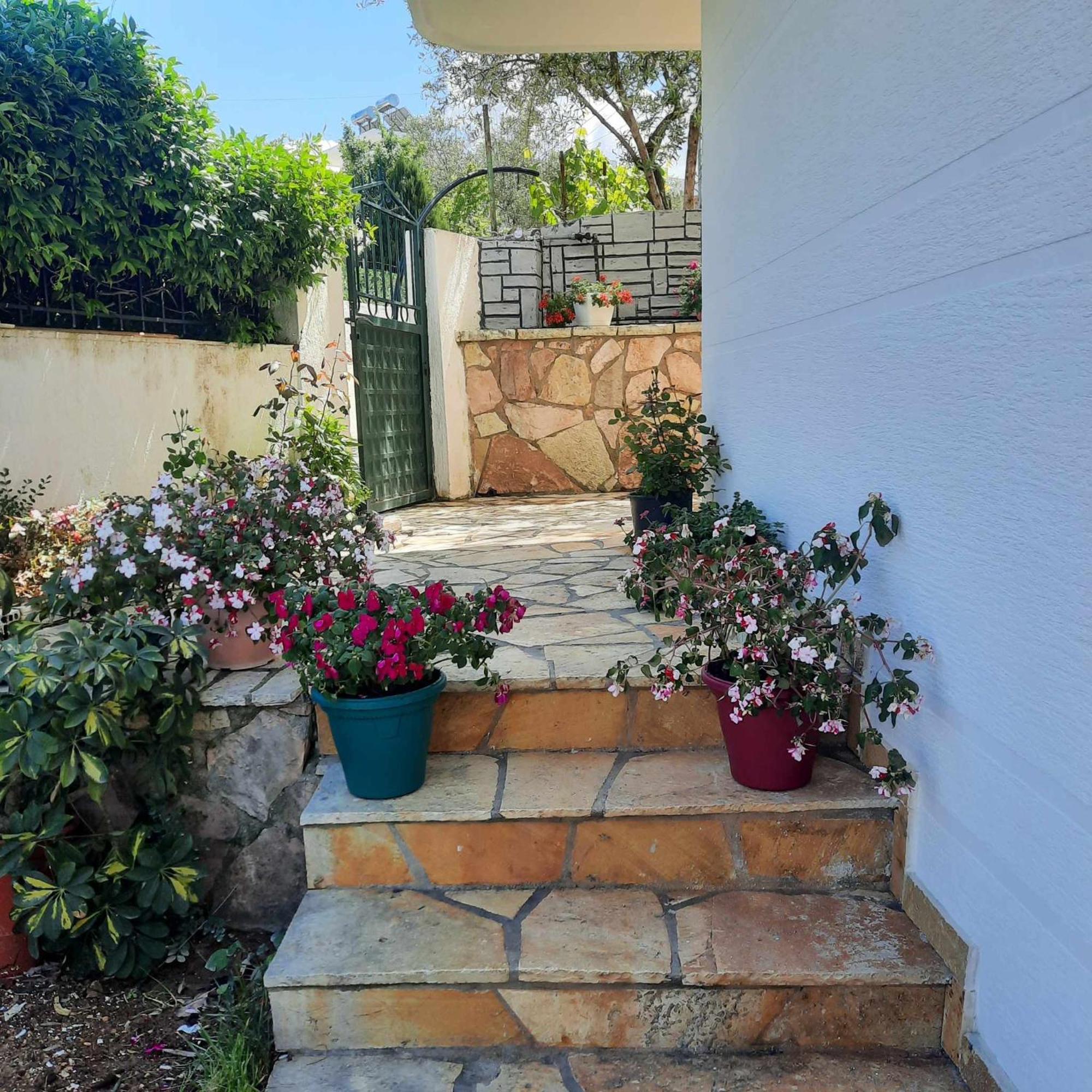 Vila Bexheti 卡萨米尔 外观 照片